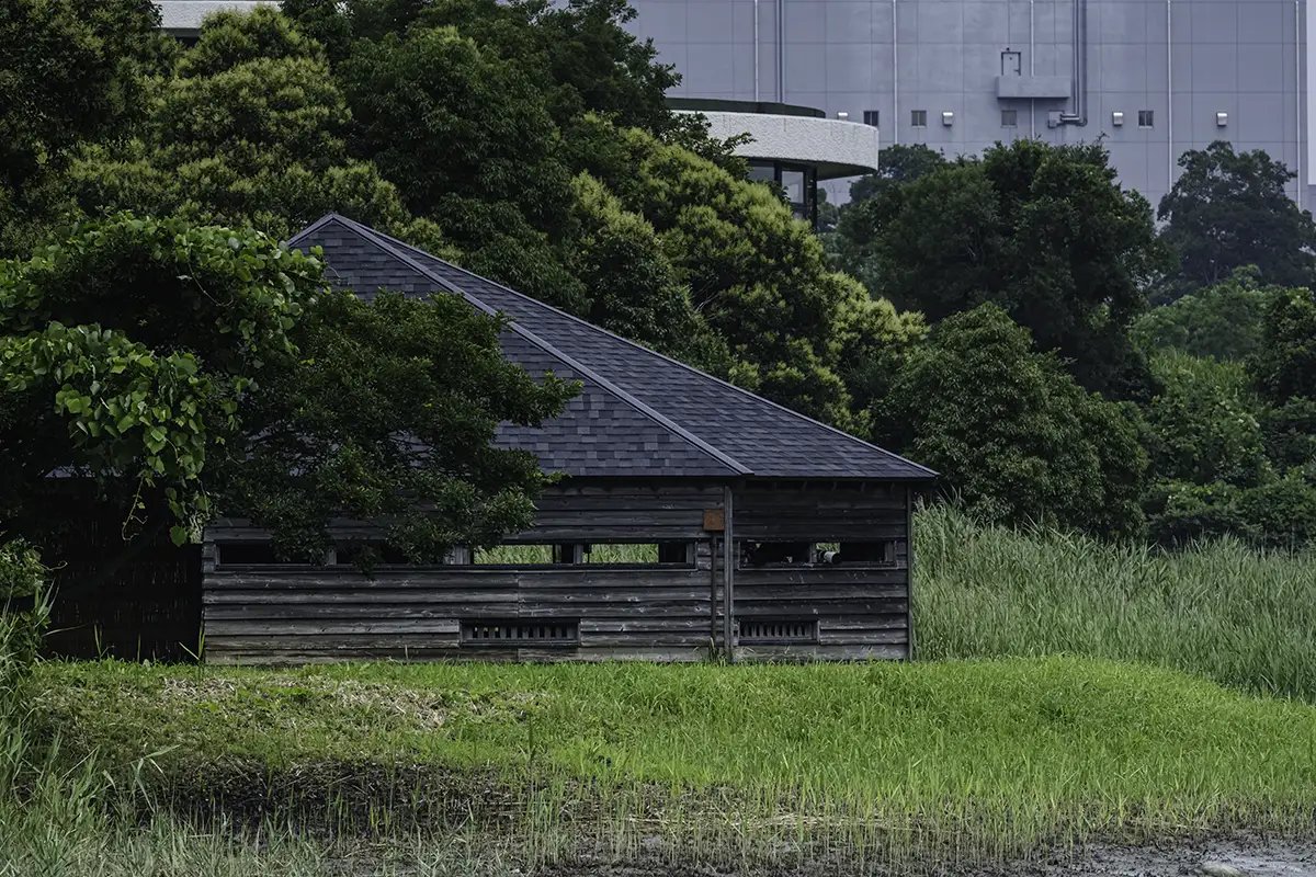 🐦 도쿄항 야조 공원(도쿄코 야초 코엔)